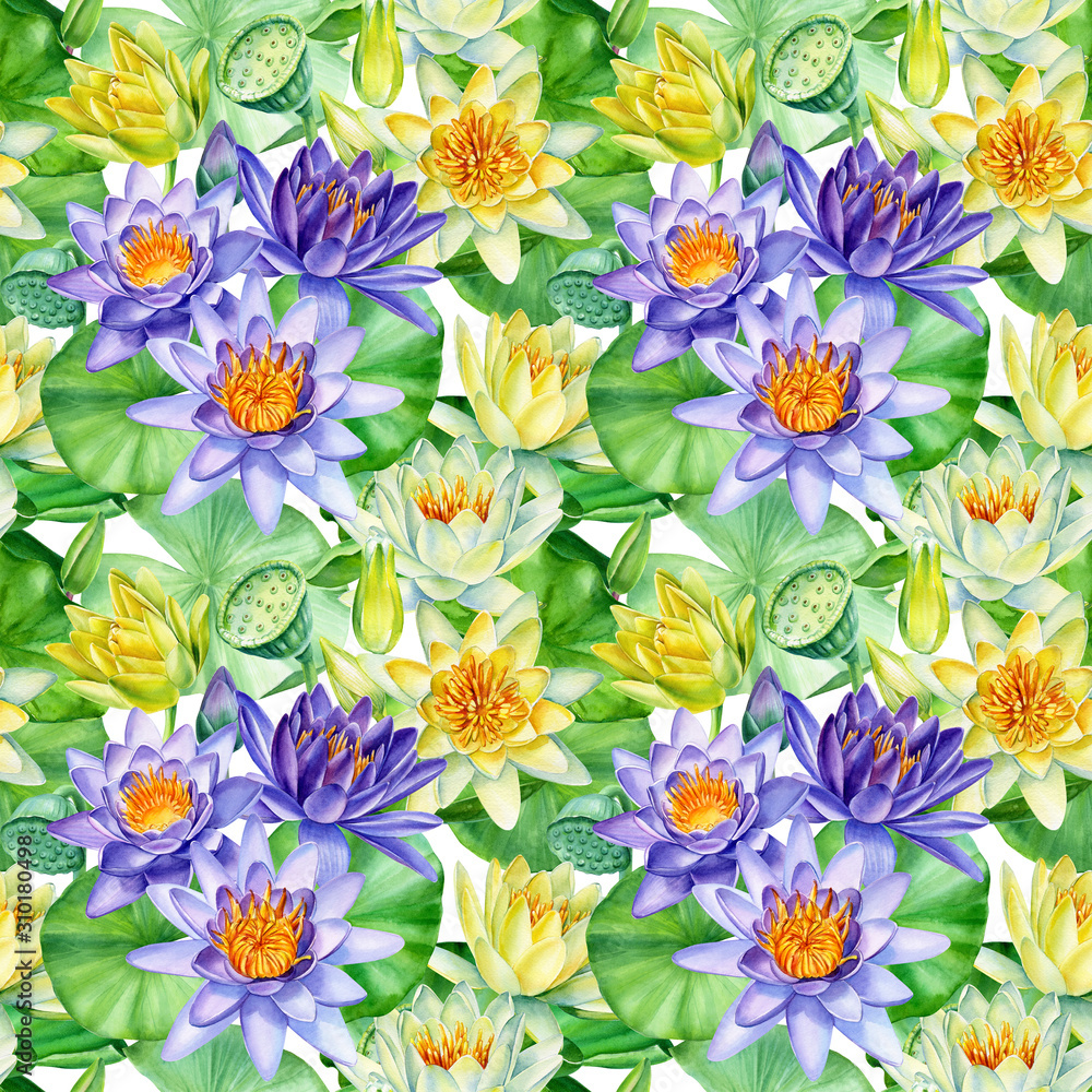 seamless pattern, lotus flowers on an isolated white background, watercolor painting, illustration