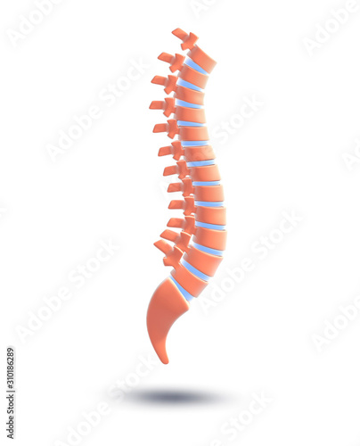 3d illustration of the human spine  symbolic graphic representation of the vertebrae. Image isolated on white background with shadow.