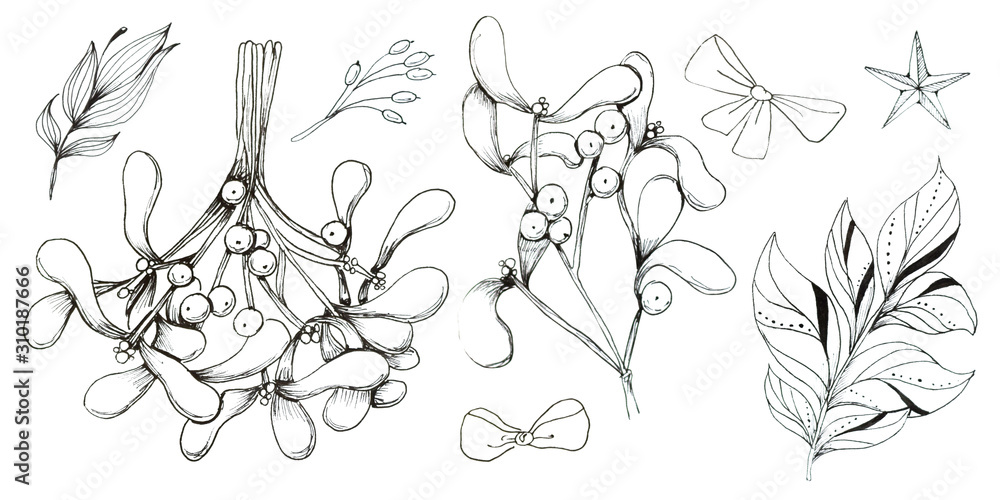 Hand drawn Christmas plants Hand drawn Christmas plants