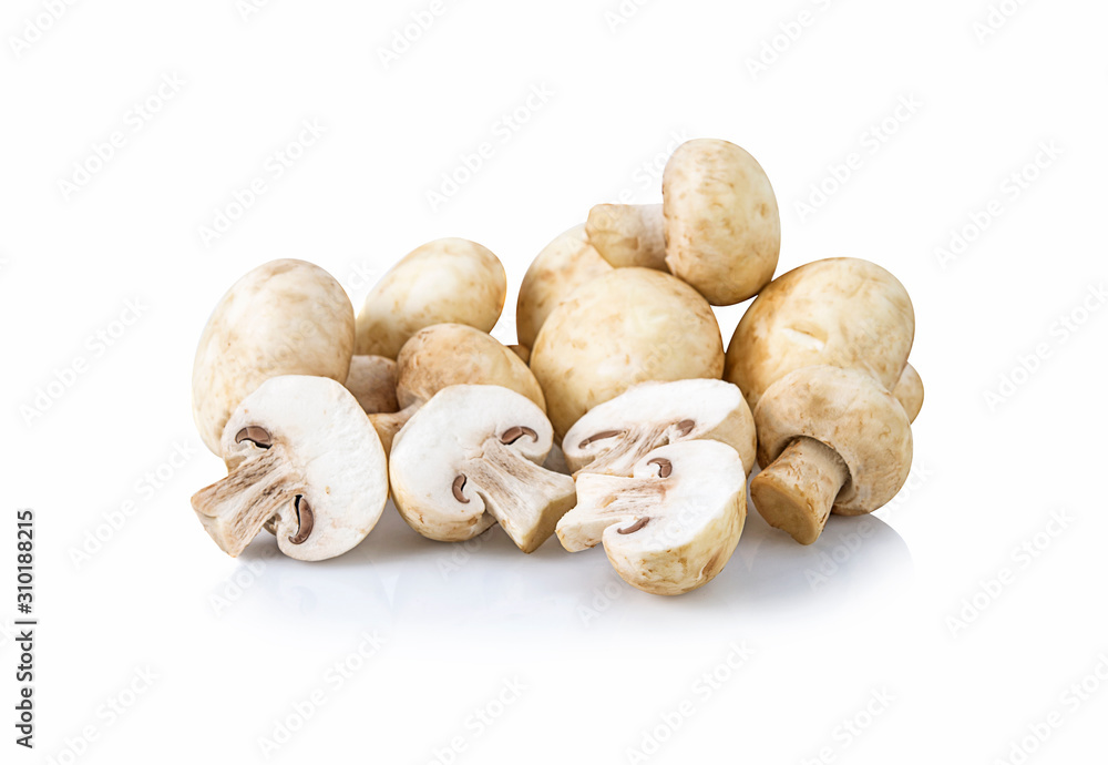 fresh champignon mushroom isolated on white background fresh champignon mushroom isolated on white background