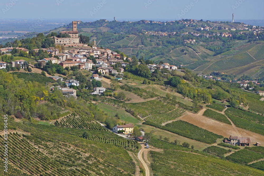 Oltrepo Pavese , Pavia e Broni - Cigognola castle and vineyard