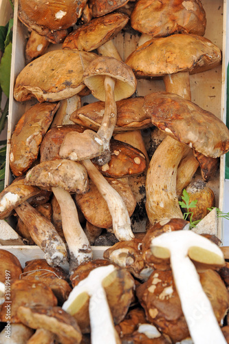 seasonal fruit and vegetables - shopping at the market - porcini mushrooms