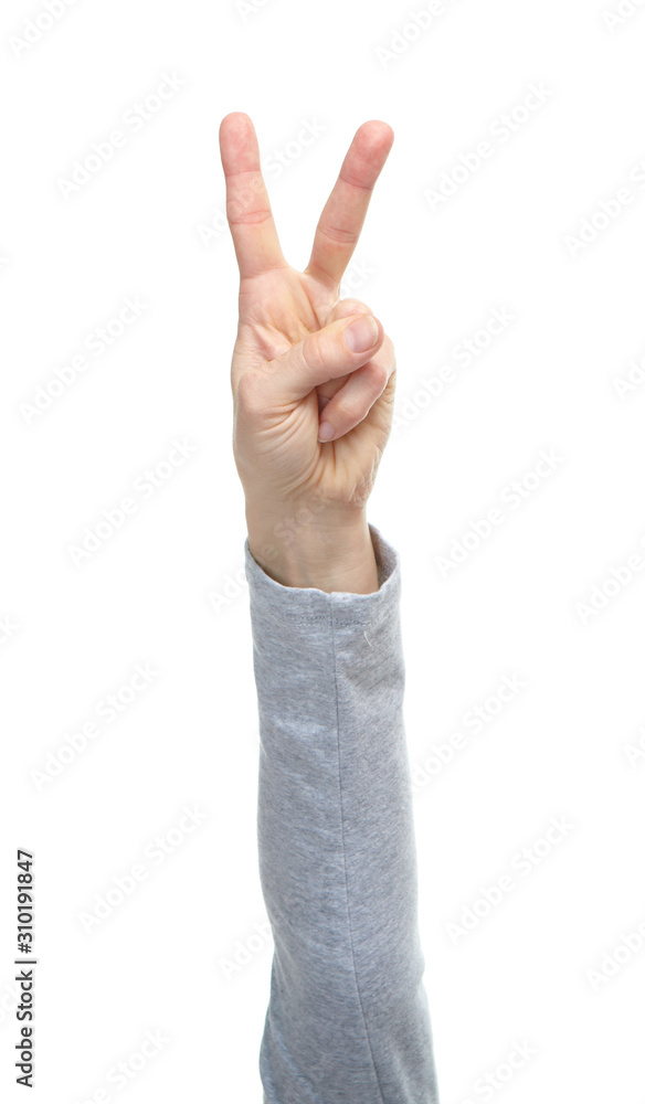 Hands with gestures isolated on a white background