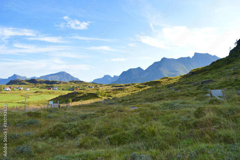 Countryside with traditional houses on the coast of Lofoten Islands in Norway