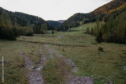 Mountain pasture Konjščica with jeep tracks photo