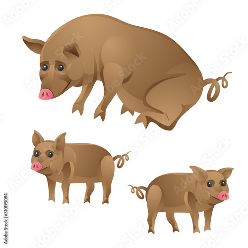 Pig and piglets Pets on white isolated background. Vector image.
