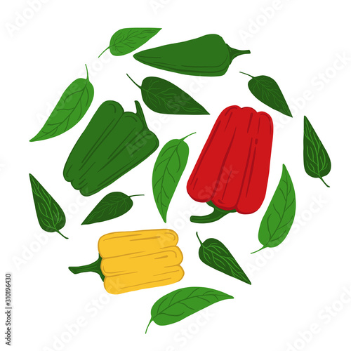 Bell peppers and leaves on a white background. Hand draw vegetable print. Vector illustration.