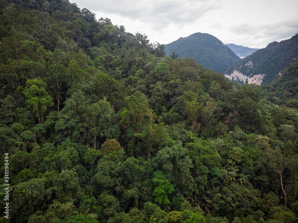 Aerial view of forest and hills Aerial view of forest and hills