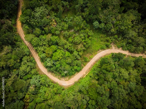 Scenic aerial view of a winding path in a forest