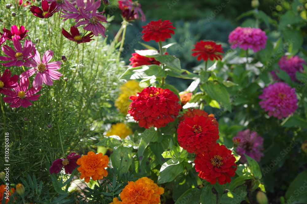 bouquet de fleur