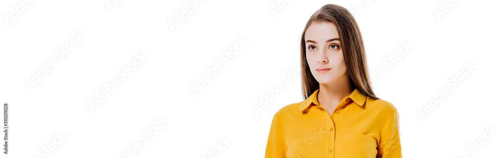 serious attractive girl looking away isolated on white, panoramic shot serious attractive girl looking away isolated on white, panoramic shot