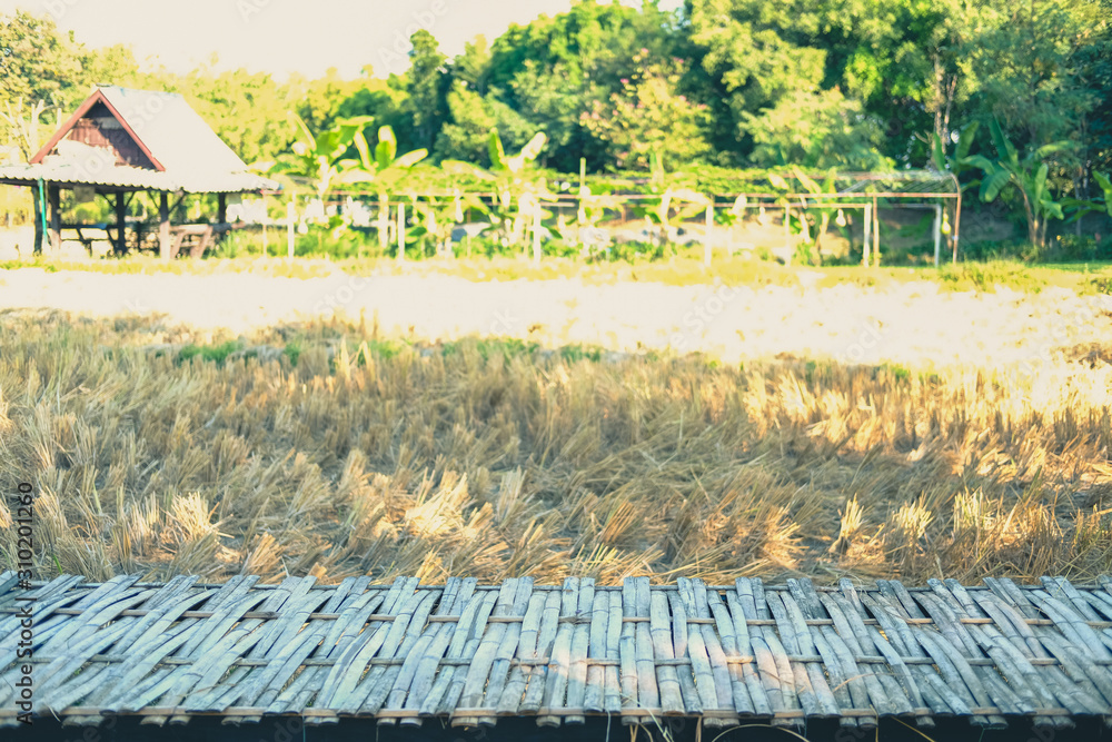 wooden footbridge in rice straw hay paddy field