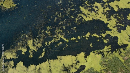 Algae on Lake (drone view) © ChrisBergeron