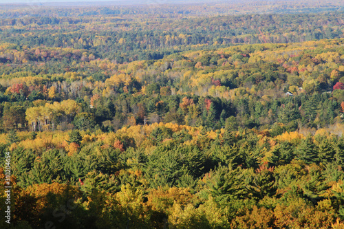 Tilt Shift of Autumn Landscape