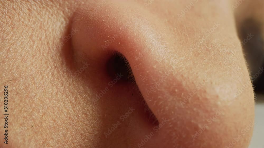 Close Up Macro Zoom Shot of a Nose. Young Beatiful Female Lightly Breathing while Sleeping. Nose Moving in Sync with Breathing Air. Bialogical Macro Shot of Facial Freatures. Close Up Macro Zoom Shot of a Nose. Young Beatiful Female Lightly Breathing while Sleeping. Nose Moving in Sync with Breathing Air. Bialogical Macro Shot of Facial Freatures.
