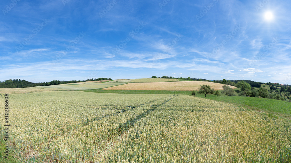 Hügelige ländliche Landschaft im Sommer mit Feldern und Wiesen und blauem Himmel mit Sonnenschein