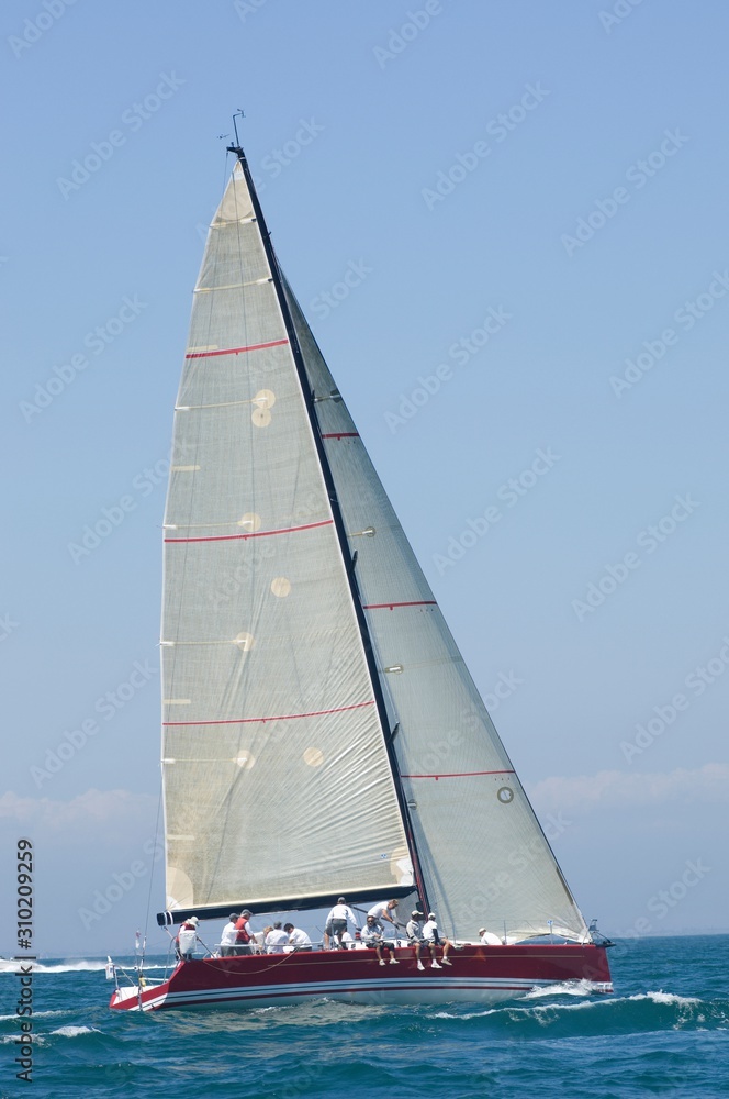 Naklejka premium Yacht With White Sail Competes In Team Sailing Event