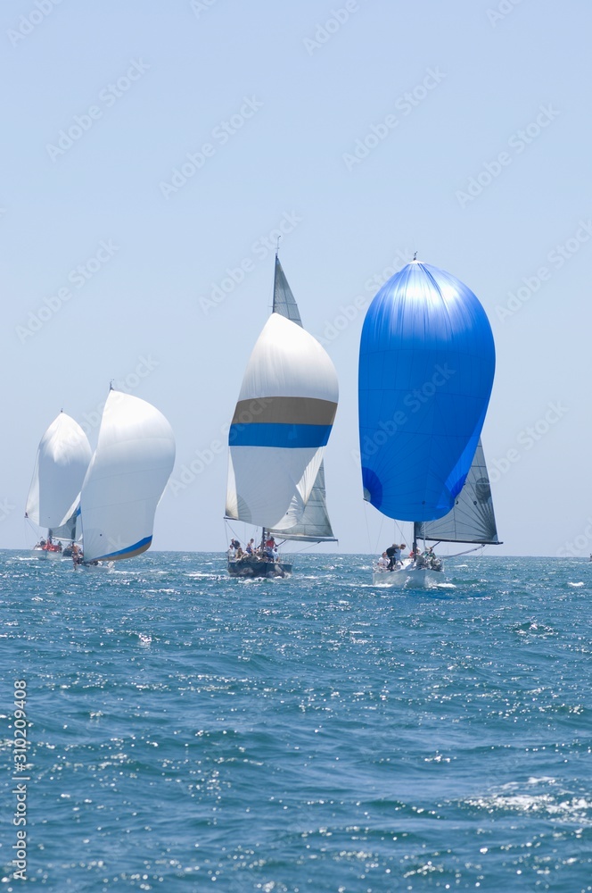 Fototapeta premium Sailboats Racing In The Blue Ocean Against Sky