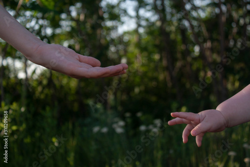 two children's palms on a background of green trees and flowers. the hand of a small child reaches for a larger hand. two children’s hands stretch to each other
