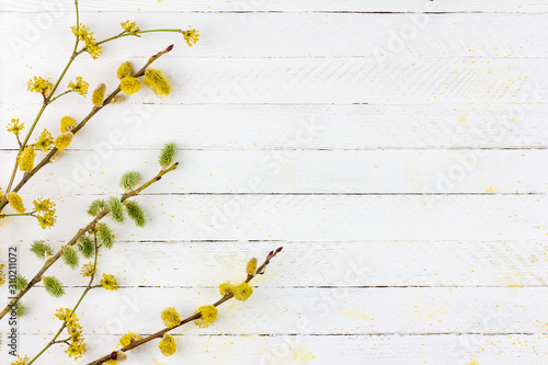 spring background of flowering willow twigs and dogwood on white wooden background with copy space photo