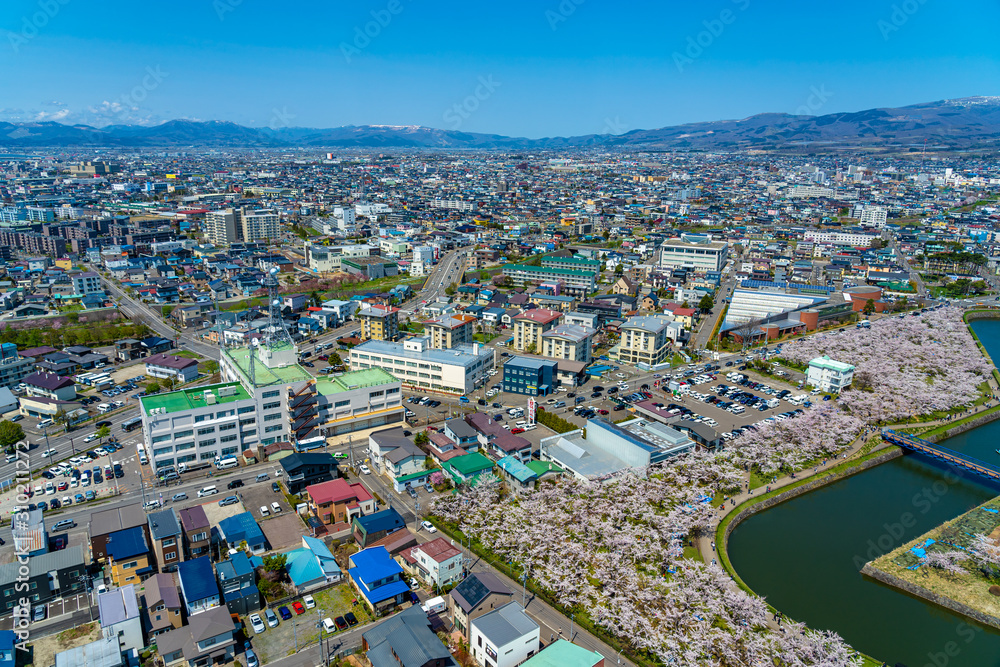 Goryokaku park in springtime cherry blossom season ( April, May ), aerial view star shaped fort in sunny day. visitors enjoy the beautiful full bloom sakura flowers in Hakodate city, Hokkaido, Japan