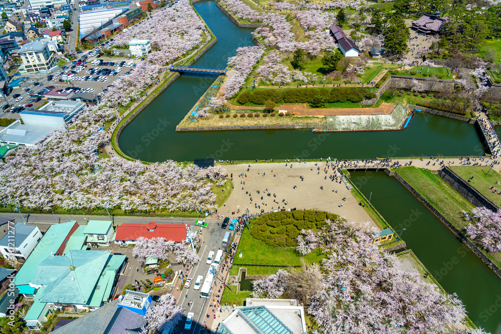 Goryokaku park in springtime cherry blossom season ( April, May ), aerial view star shaped fort in sunny day. visitors enjoy the beautiful full bloom sakura flowers in Hakodate city, Hokkaido, Japan
