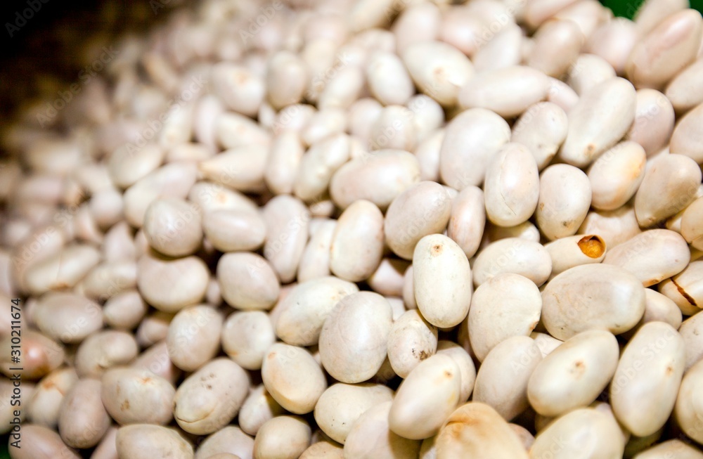 Close-up of jackfruit seeds in store