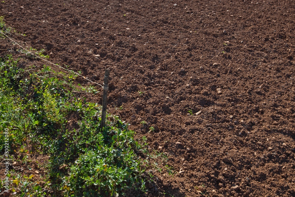View of ploughed agricultural field View of ploughed agricultural field