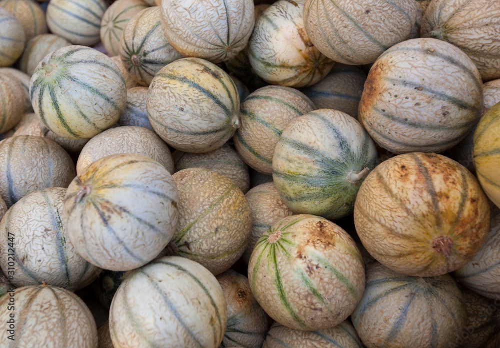 Close-up view of melons in market