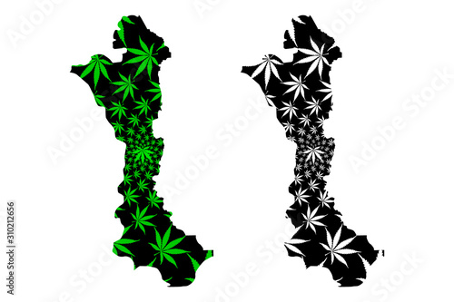 Volta Region (Administrative divisions of Ghana, Republic of Ghana) map is designed cannabis leaf green and black, Volta map made of marijuana (marihuana,THC) foliage....