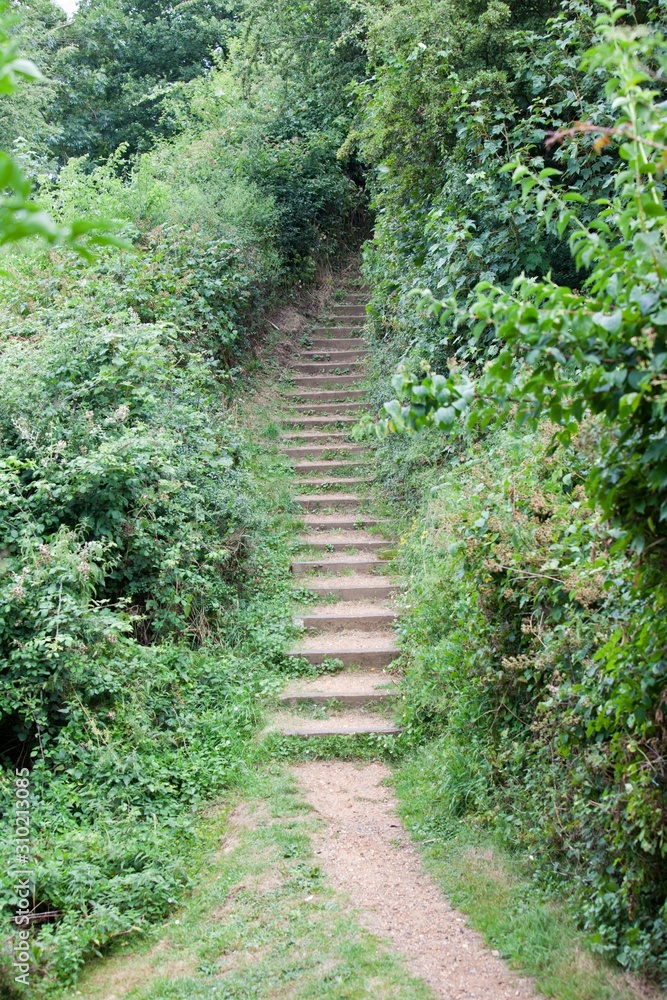 Obraz premium Path of stairs in British Park
