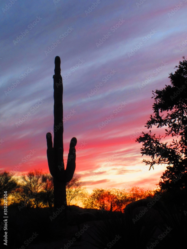 Arizona Sunset 