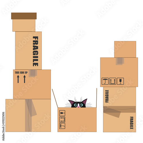 Many of empty boxes for moving