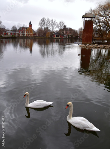 Cygnes sur le lac de Puigcerda photo