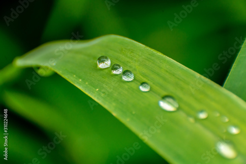 lined drops on grass