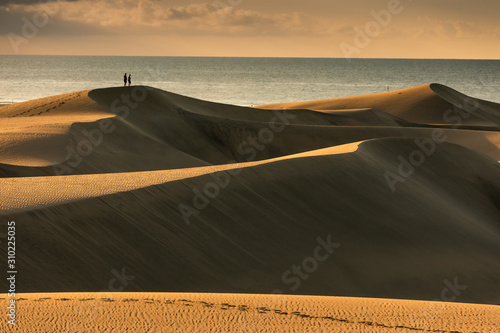 Fotografie Maspalomas dunes in sunrise light. Gran Canaria sandy coast.