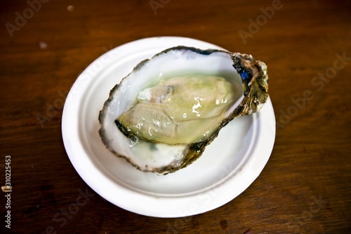 Close up of oyster