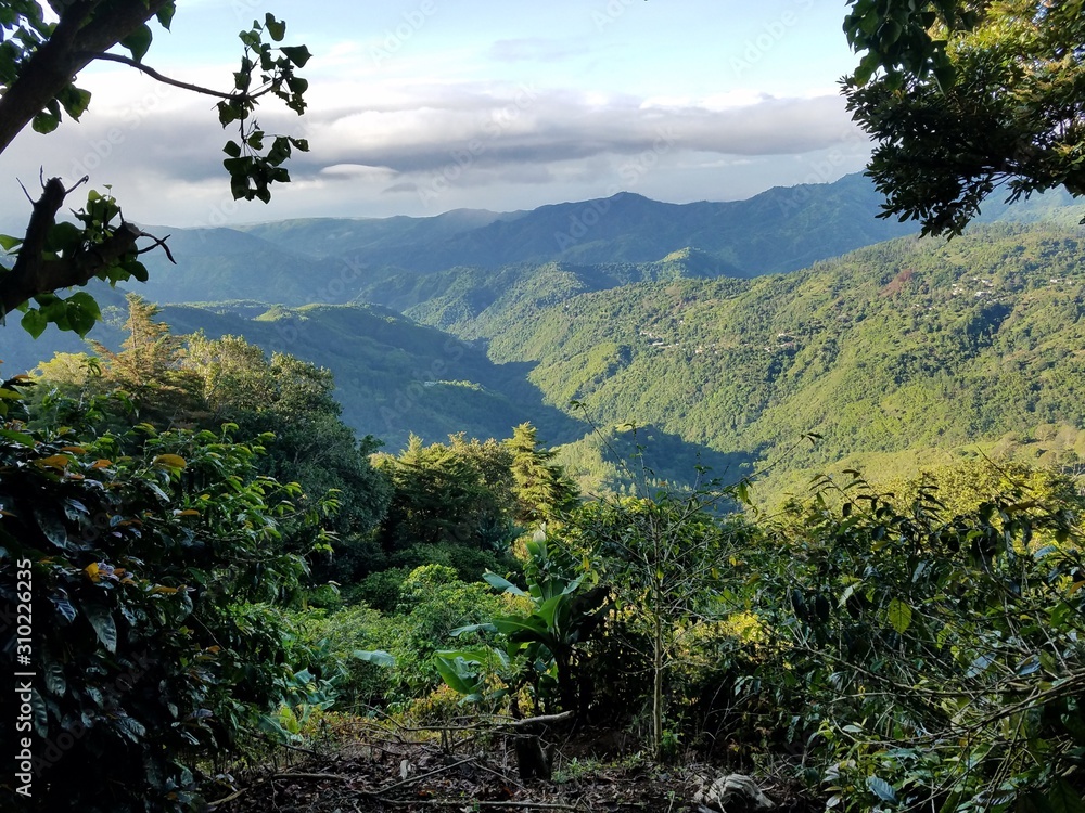 Obraz premium view of mountains