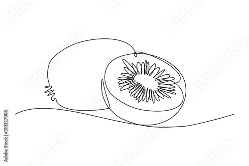 Kiwi fruit whole and a half in continuous line art drawing style. Black line sketch on white background. Vector illustration