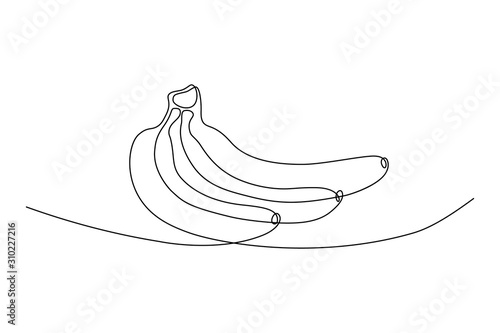 Banana bunch in continuous line art drawing style. Black line sketch on white background. Vector illustration