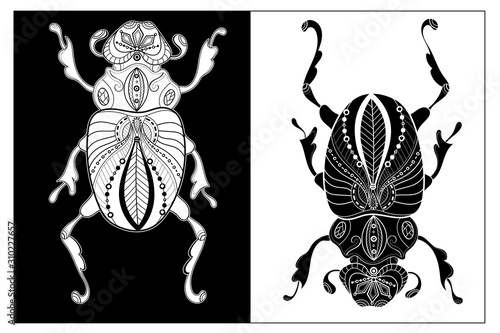 Pattern for coloring book. Coloring pages for adults and children. Natural elements, patterns. Antistress, art therapy. Black and white image of a beetle. © Olena