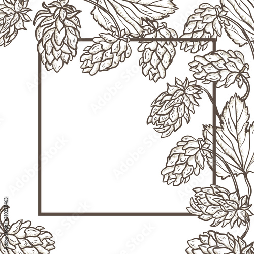 Vector Corner Frame with Beer Hops. Common Hop or Humulus Lupulus Branch. Leaves and Cones. Vector Floral Background