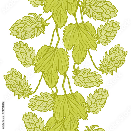 Vector Vertical Seamless Border with Beer Hops. Common Hop or Humulus Lupulus Branch. Leaves and Cones. Vector Floral Background