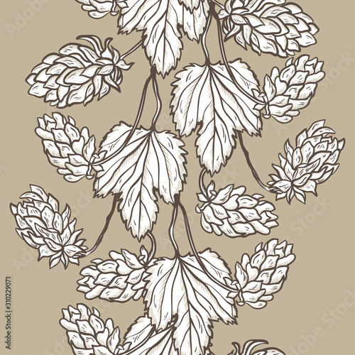 Vector Vertical Seamless Border with Beer Hops. Common Hop or Humulus Lupulus Branch. Leaves and Cones. Vector Floral Background