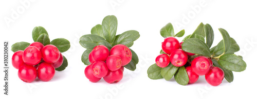 Fototapeta Naklejka Na Ścianę i Meble -  Fresh red berry: hand-picked forest Cowberry isolated on white background, macro shot