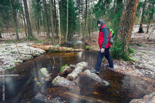 Adult man with a beard in a red downy sleeveless jacket crosses a frozen stream with fallen logs in a spruce forest in late fall