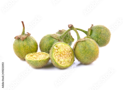 Solanum ferox isolated on white background