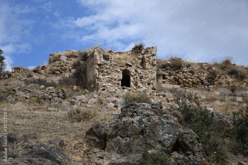 Ruined wall of a medieval castle in Armenia. tree and old castle. tree and wall of an old castle n blue sky. wall of a medieval castle. ruined wall against the blue sky. blue sky. ruined wall. green t