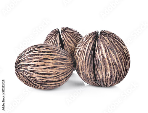Suicide tree seed, Pong pong seed or Othalanga,Cerbera oddloam's seed on white background photo