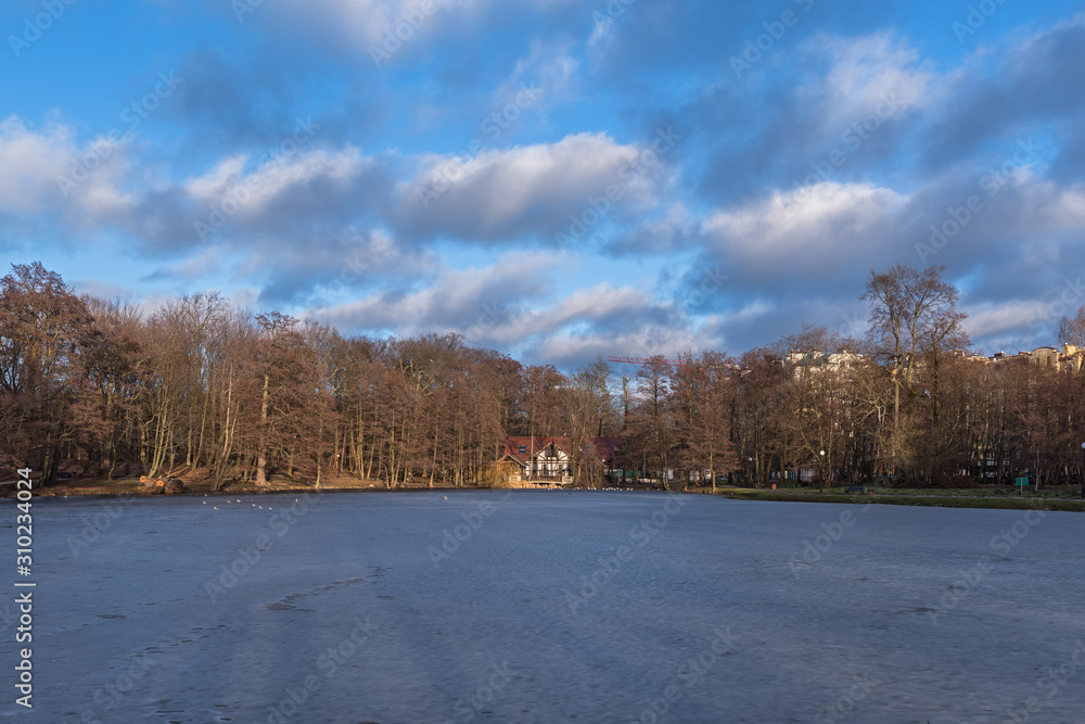 Fototapeta premium A winter city landscape. A frozen pond in an empty park at the end of the day. White House. Birds on the ice.